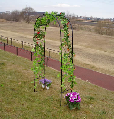 ローズアーチ MRA-01 スタンド無し