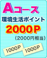 A�R�[�X �������|�C���g2000P�i2000�~�����j