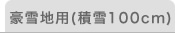 ����n�p�i�ϐ�100cm�j - �J�[�|�[�g