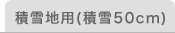 �ϐ�n�p�i�ϐ�50cm�j - �J�[�|�[�g