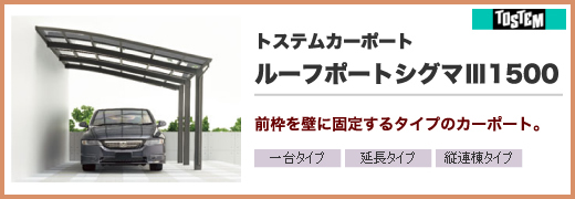 �J�[�|�[�g/�g�X�e���J�[�|�[�g�E���[�t�|�[�g�V�O�}�V1500