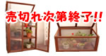 ����5��̔���؂�Z�[���I��l�C�E���������O���[���n�E�X��75,000�̌����v���C�X�I