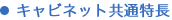 �L���r�l�b�g���ʓ���