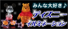 みんな大好き♪ディズニーイルミネーション