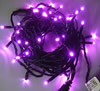 �C���~�l�[�V�����@LED�X�g���[�g���C�g�@�s���N