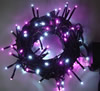 �C���~�l�[�V�����@LED�X�g���[�g���C�g�@��/�s���N
