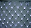 �C���~�l�[�V�����@LED�l�b�g���C�g�@���F