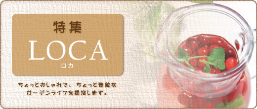 特集 LOCA ロカ ガーデンファニチャー