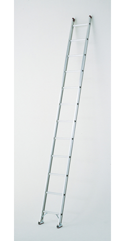 1連はしご プロ 全長3.10m 1PRO-31