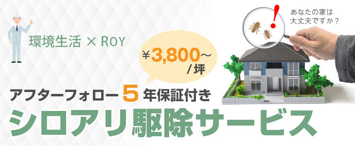 環境生活×ROY シロアリ駆除サービス アフターフォロー5年間保証付き 3800円 すぐお見積り