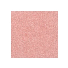 TOLI yzX}CtB[ A^bN260@s[`@AK2609@10P[XPʁiosj