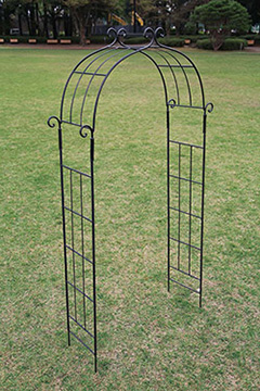 yGA著zW[rX K[fA[`D^ 32312 qlg