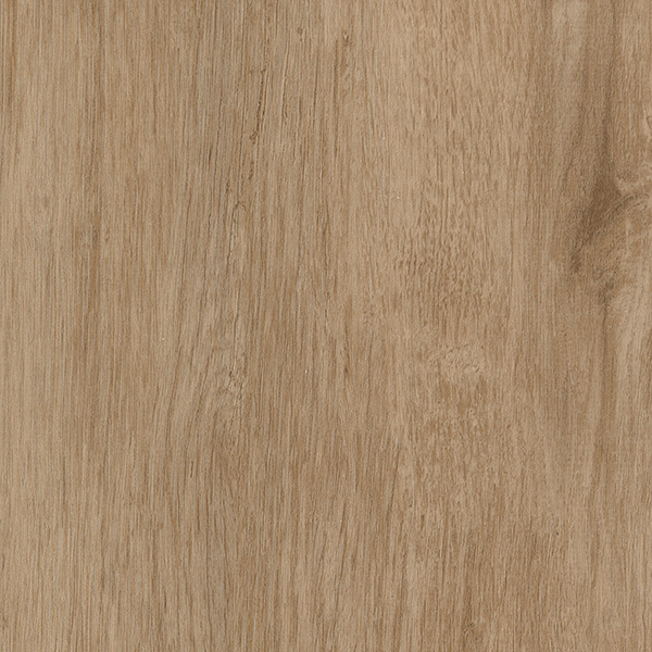 NbNbN^C   KW5102̉摜