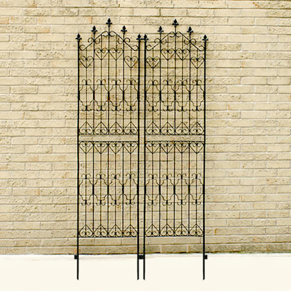 Z܂X^C ACAtFXnC220 2g