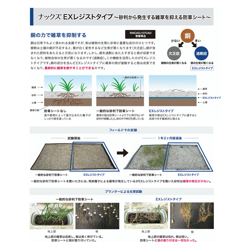 �h���V�[�g �i�b�N�X EX���W�X�g 1m�~15m �G���h�~ �����V�[�g ����