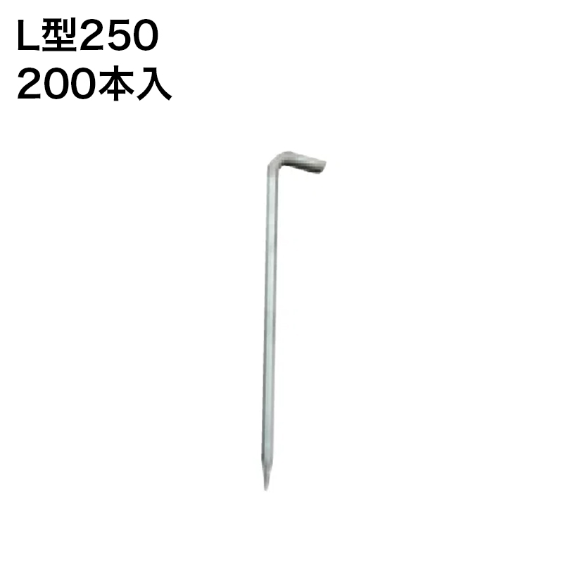 �h���V�[�g ������ �i�b�N�X L�^250 200�{��