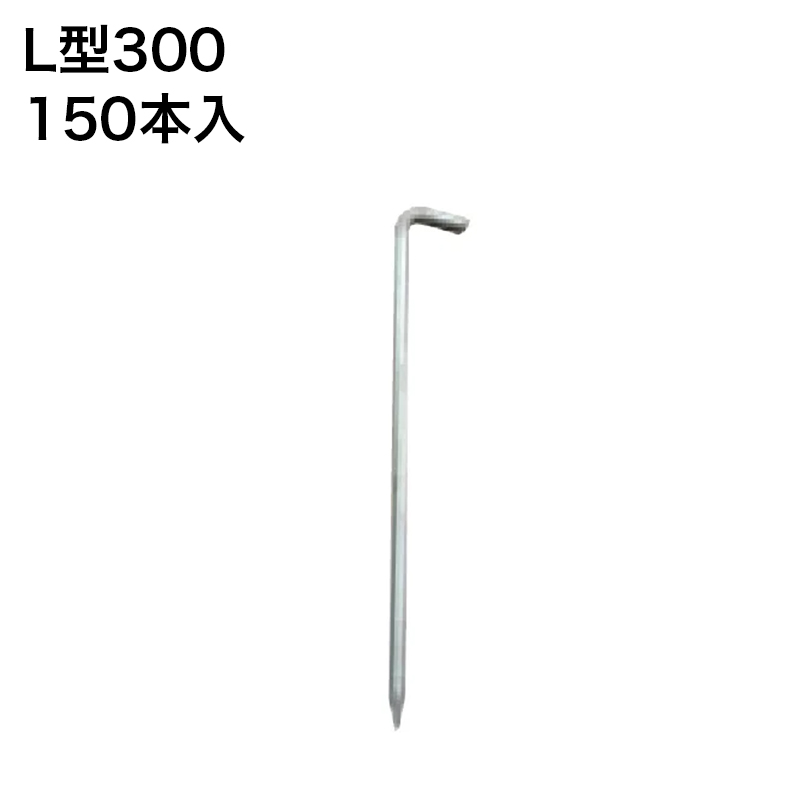 �h���V�[�g ������ �i�b�N�X L�^300 150�{��