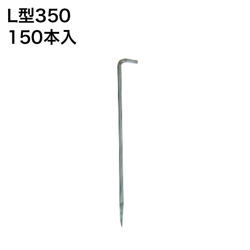 �h���V�[�g ������ �i�b�N�X L�^350 150�{��