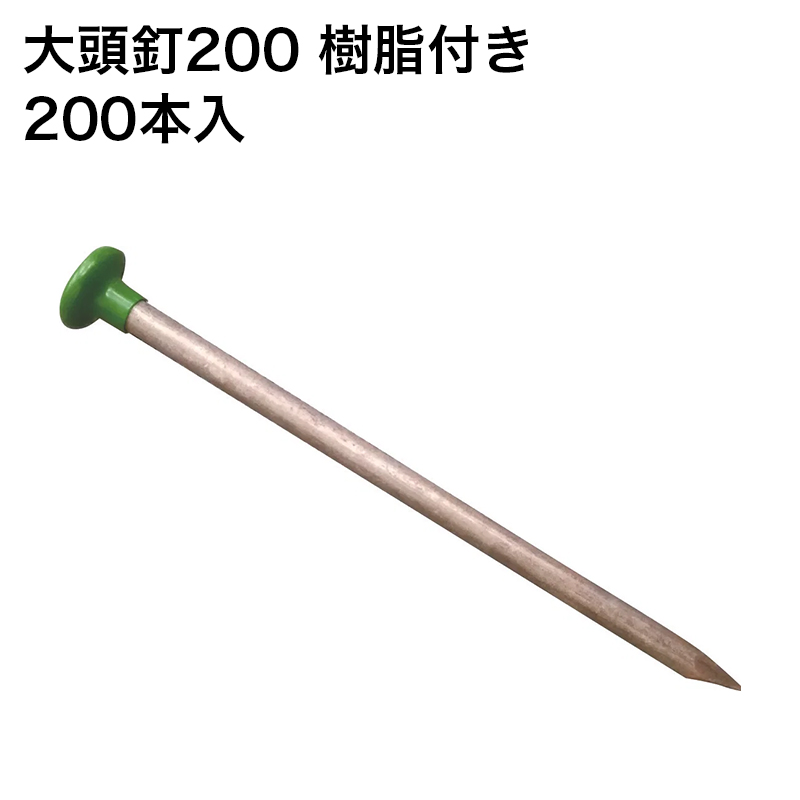 �h���V�[�g ������ �i�b�N�X �哪�B200 �����t�� 200�{��