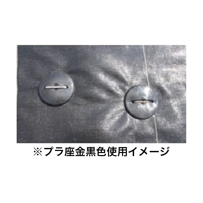 �h���V�[�g ������ �i�b�N�X �v������ �� 25����