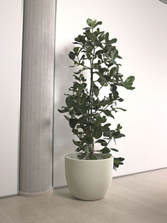 [X[EvXg C^AvX`bN v^[@[X[EvXg@GgA44 ER-2319