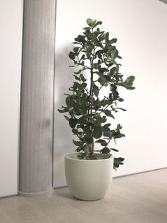 [X[EvXg C^AvX`bN v^[@[X[EvXg@GgA44 ER-2319