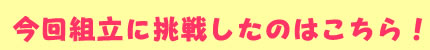 今回組立に挑戦したのはこちら！